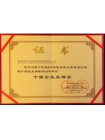 十强企业品牌奖