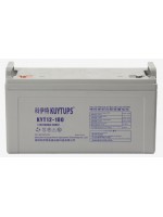 科伊特电池12V100Ah